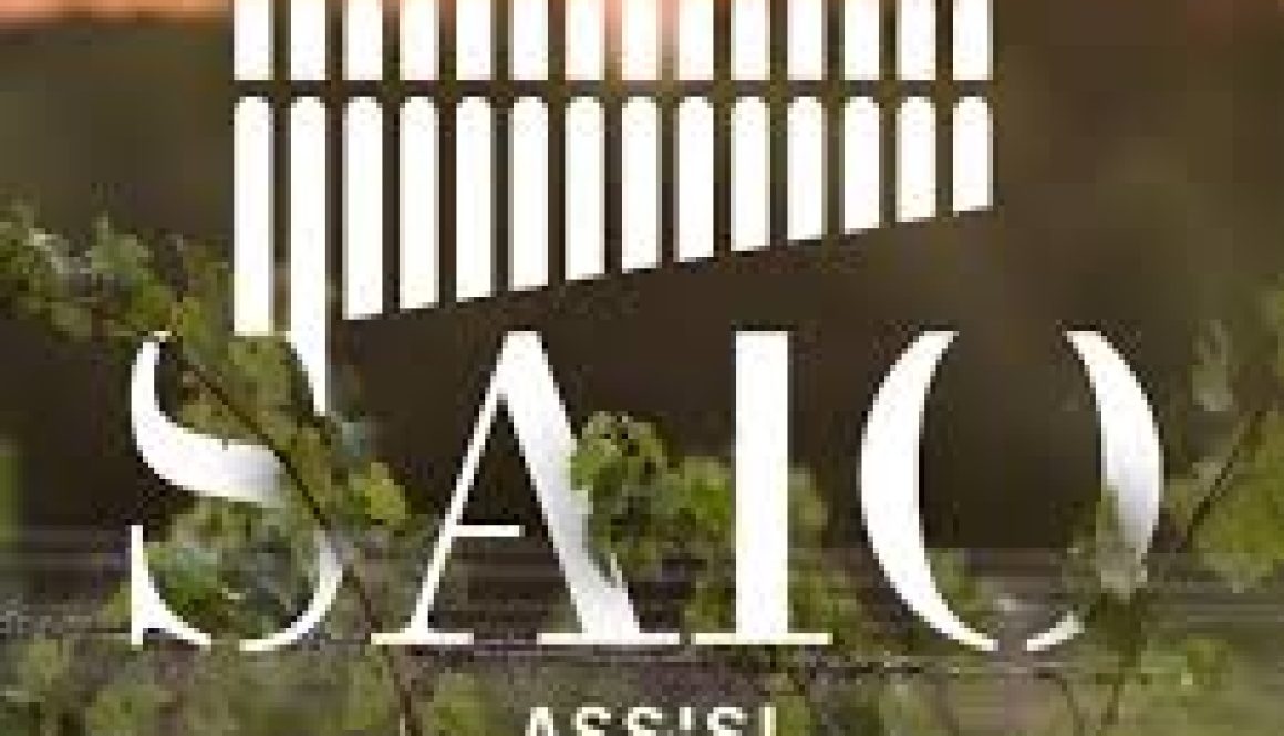 Saio Assisi logo