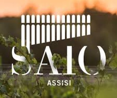 Saio Assisi logo