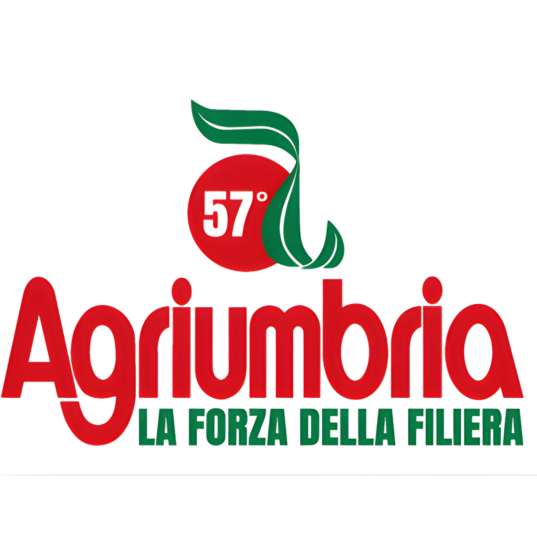 Senza titolo (Post Instagram)