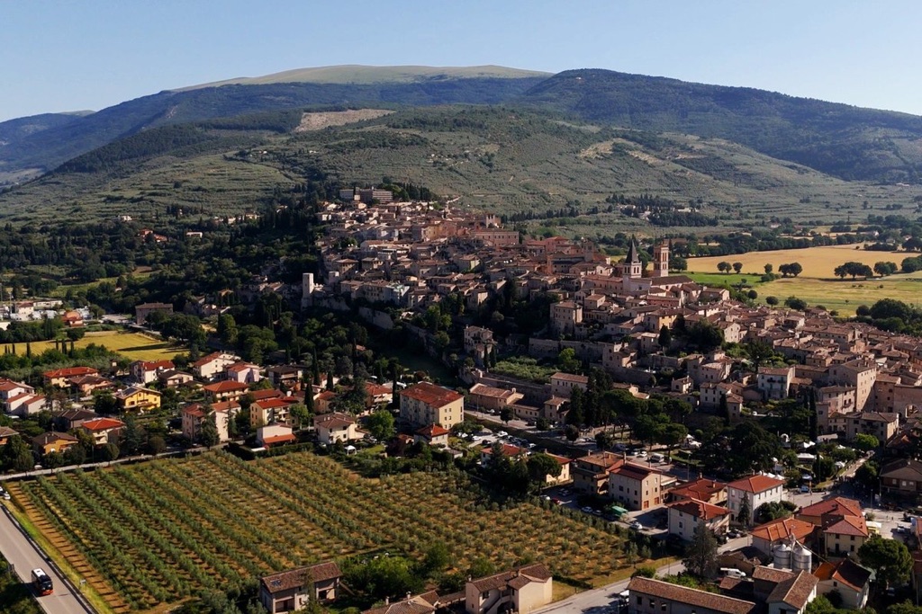 Degustazione di vini in vigna ad Assisi con Saio Assisi