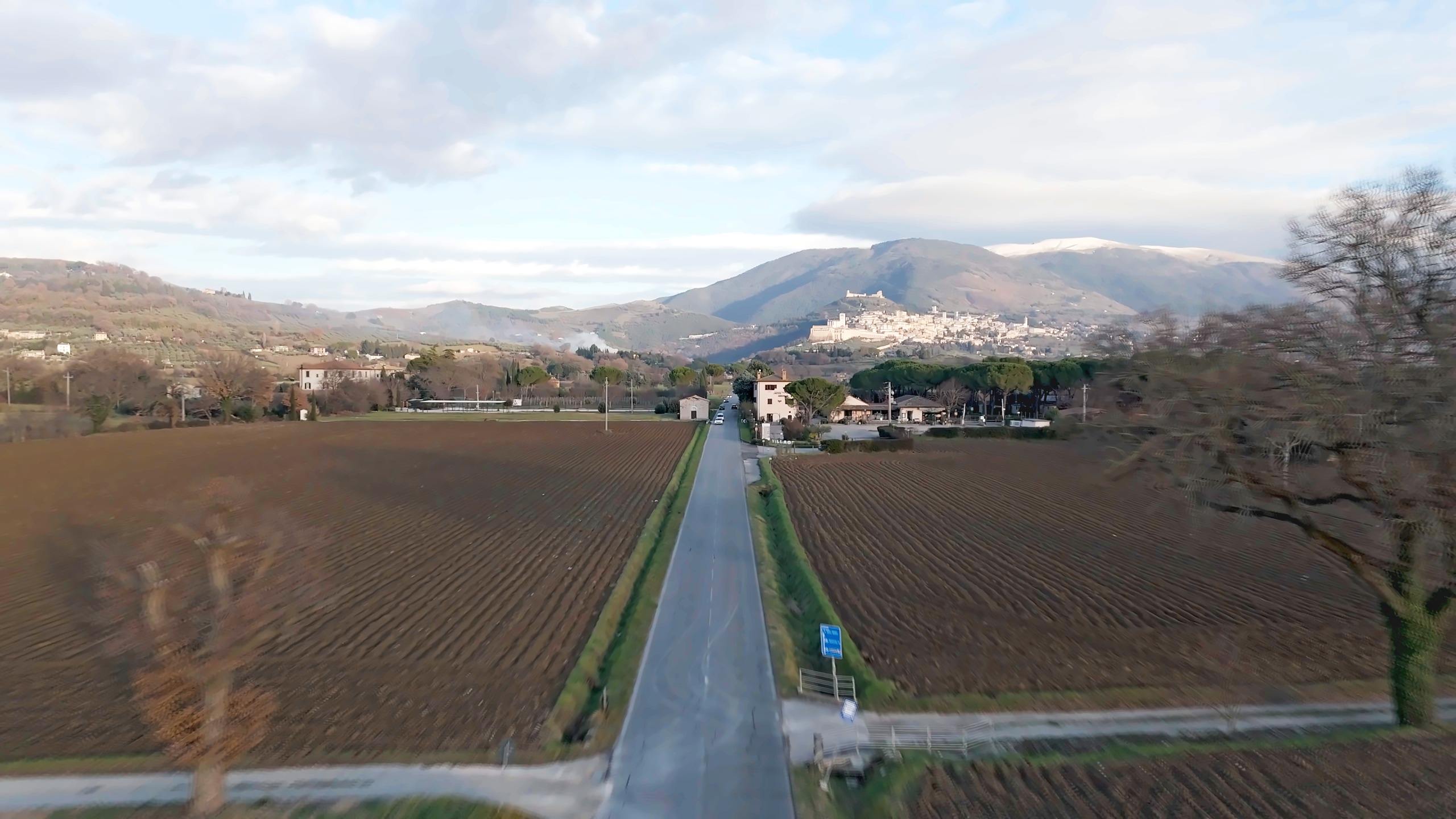 Il viale delle querce spoglie verso Assisi, d’inverno