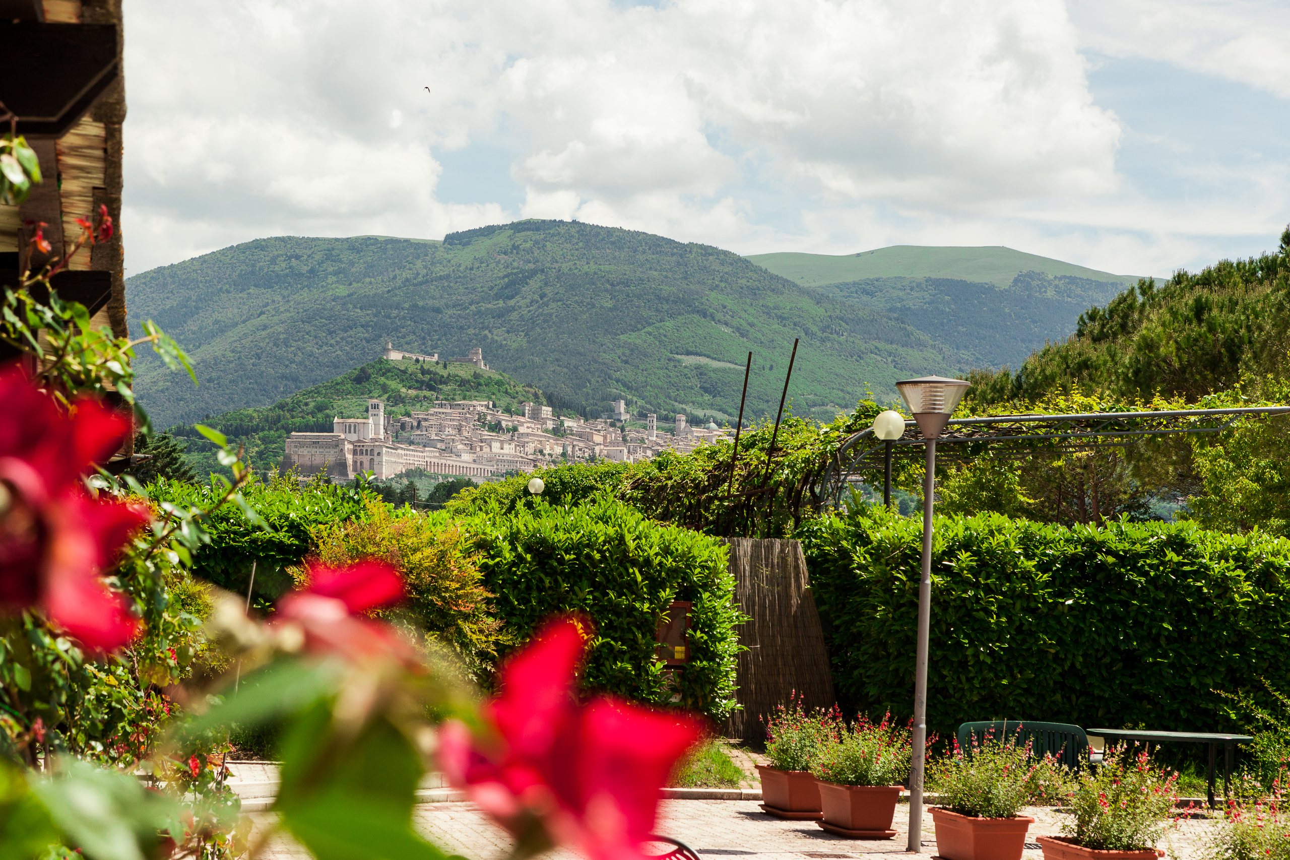 Assisi e il Monte Subasio dietro i gerani rossi