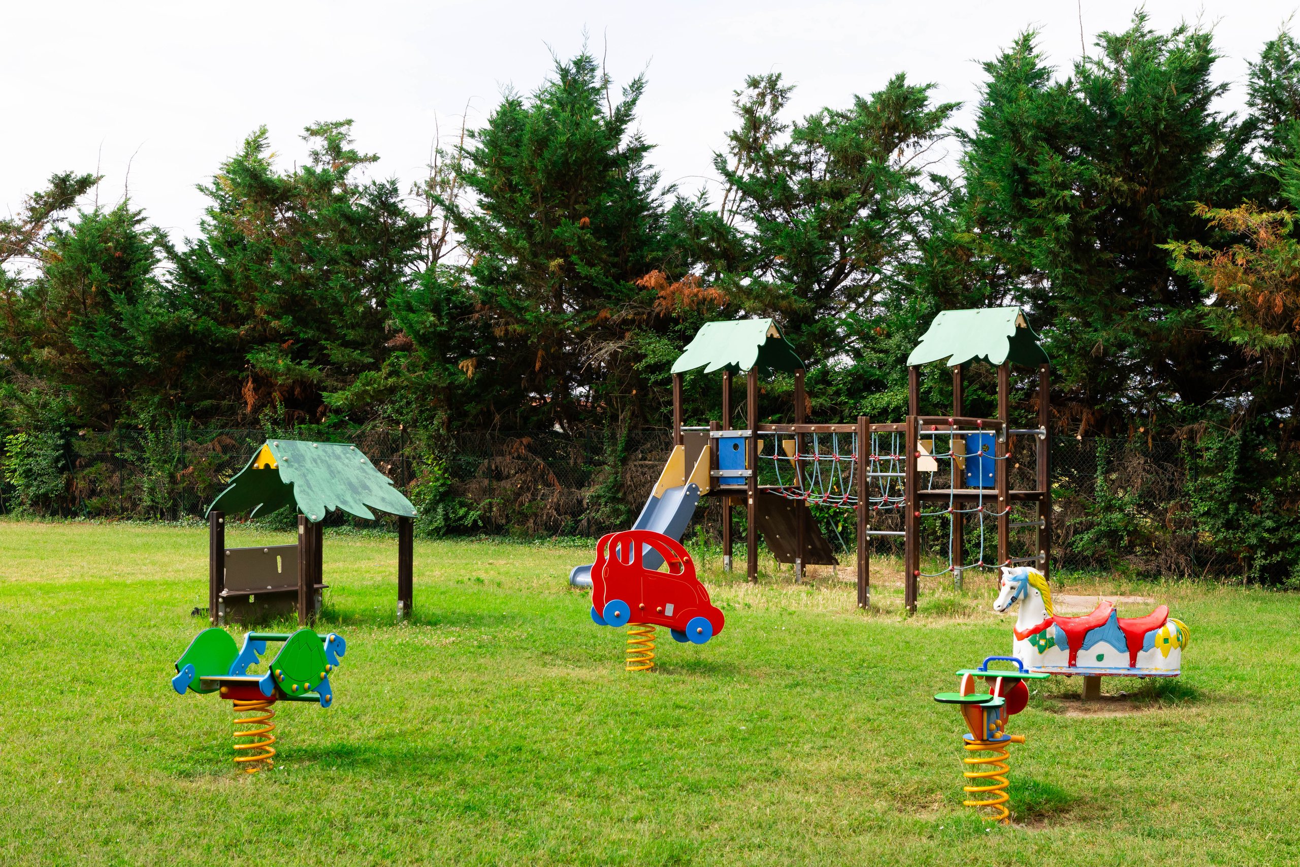 Il parco giochi nella pineta