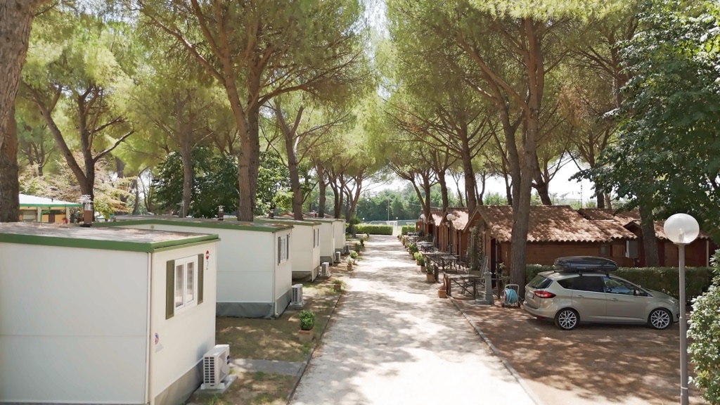 Il viale delle case mobili sotto i pini, d'estate