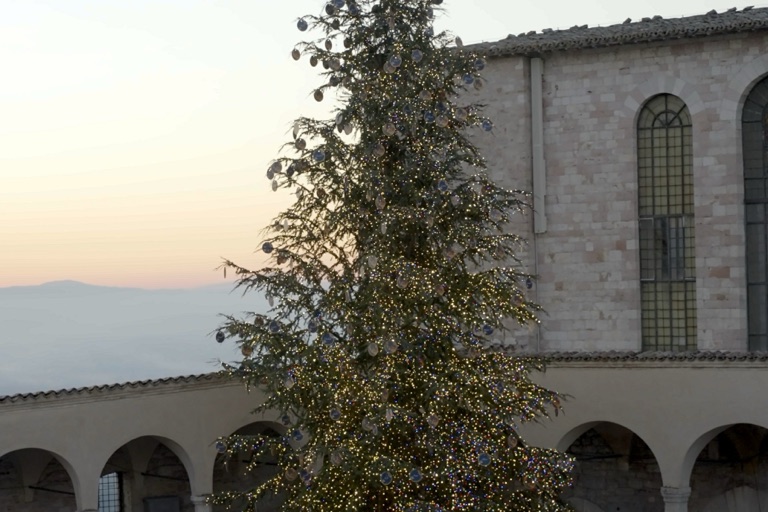Albero di Natale davanti alla Basilica di San Francesco al tramonto, con la valle umbra all’orizzonte