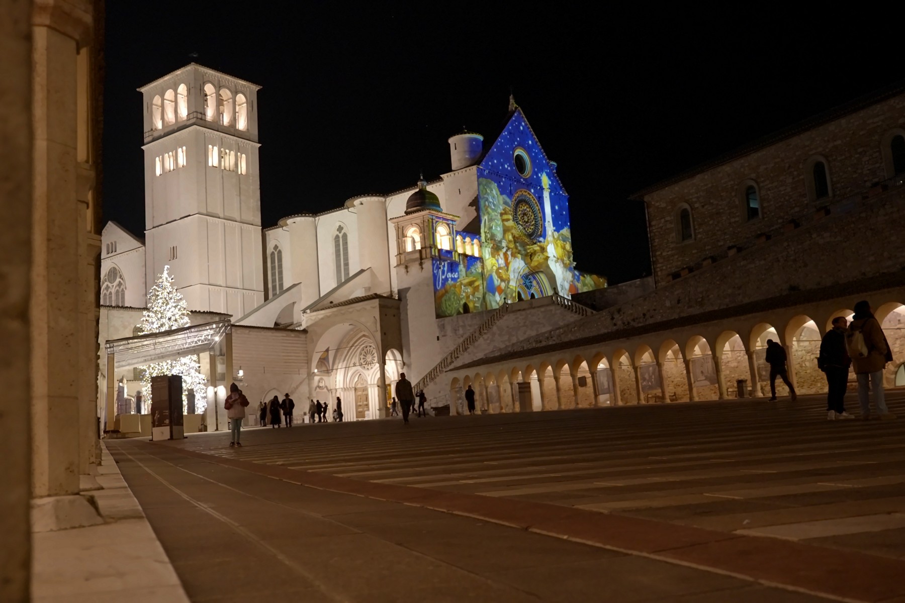 La Basilica di San Francesco di notte vista dalla piazza inferiore, con i porticati illuminati e l'albero di Natale