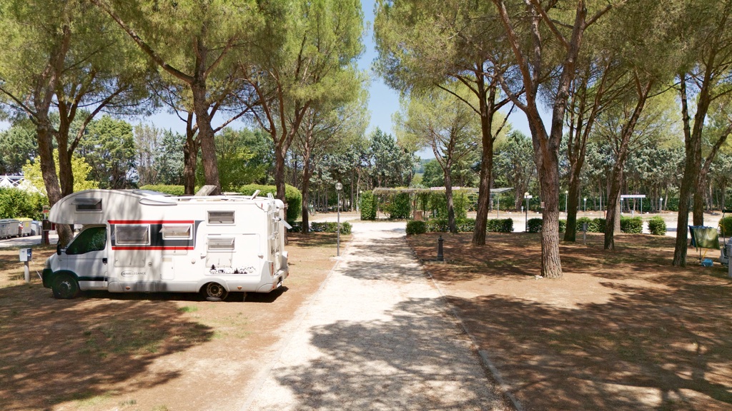 Camper nella pineta visti dal drone