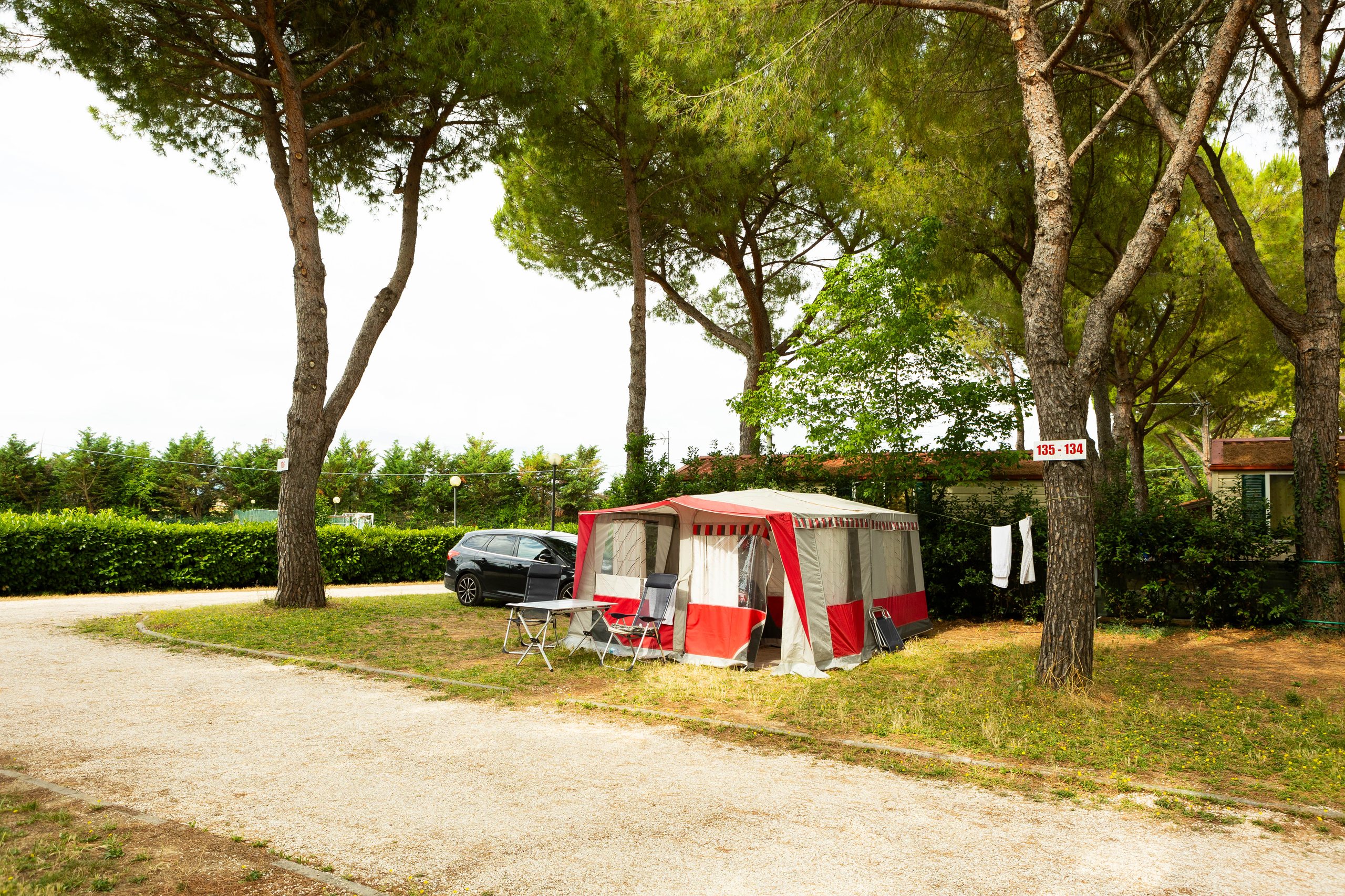 Carrello tenda in pineta