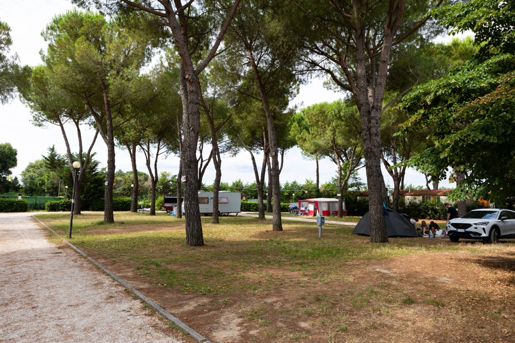Piazzole sul prato, tra i pini