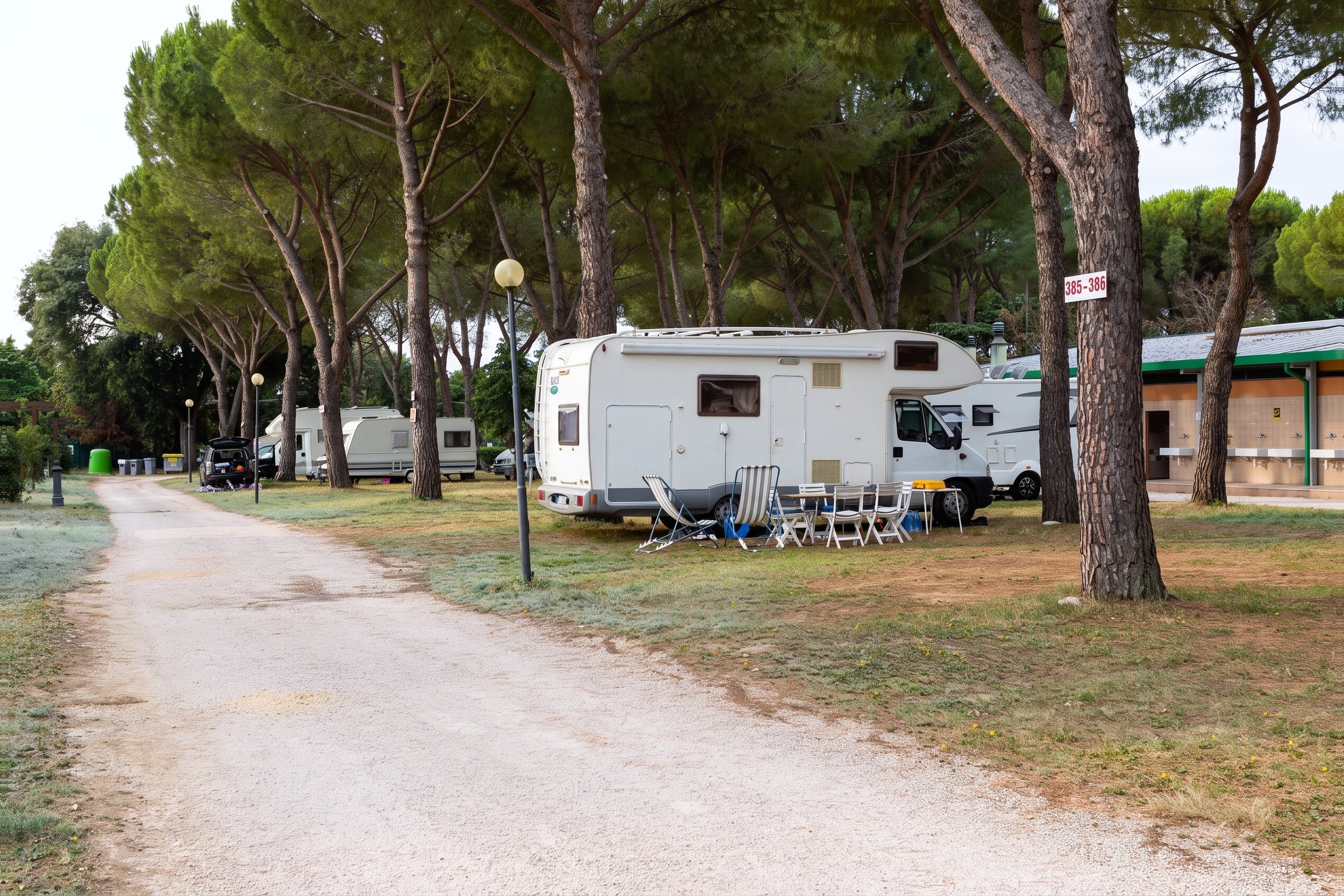 Il viale delle piazzole tra i pini, d’inverno (immagine elaborata digitalmente da una foto del villaggio)